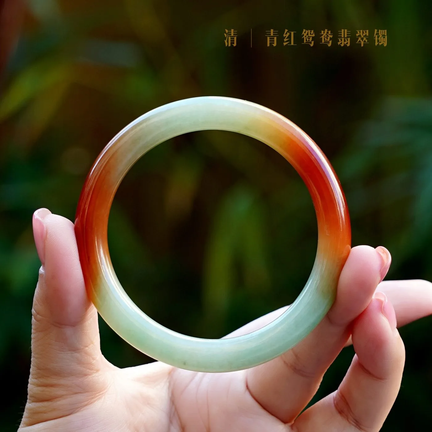 青红鸳鸯翡翠镯